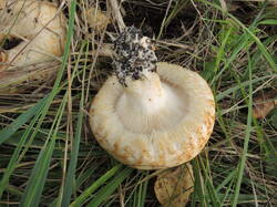 DSCN1851.JPG
