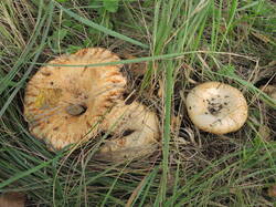 DSCN1855.JPG