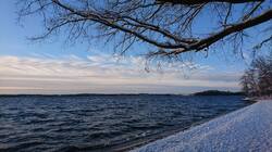 DSC_0910.thumb.JPG.61f0a99f968f9d47b34f568f873b828c.JPG
