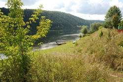 DSC_4715.thumb.jpg.06ce0cc7460b21aedbbe8147abaf8f95.jpg