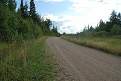 DSC_4736.thumb.jpg.85c6fccfbc8ce6307ae779383b9f2bef.jpg