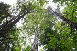 DSC_4748.thumb.jpg.39b3c3796c22a0a41779390db1df2cc8.jpg
