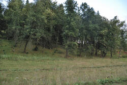 DSC_4775.thumb.jpg.b9664de53409780a8b59e8743f2d04b4.jpg