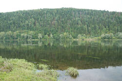DSC_4800.thumb.jpg.7be4cc7bf60544a75d744322b68666de.jpg