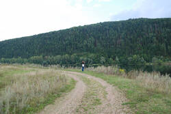 DSC_4808.thumb.jpg.ef9b66cb69cbcfc14e6ecccc9a2a981f.jpg