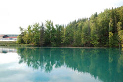 DSC_4846.thumb.jpg.35a93c5b9b28b40c64854bcb9f18008e.jpg