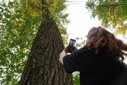 DSC_4896.thumb.jpg.64a2e9b7e76d581a649e946d1ec1669c.jpg