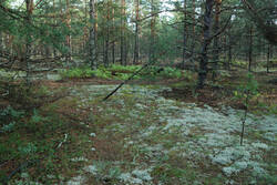 DSC_5040.thumb.jpg.7549ed0afdab1bdb4788e4de628cc5f0.jpg