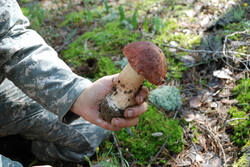 DSC_5101.thumb.jpg.7cacf761014b82fae14d37fbb61d62b5.jpg