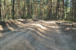 DSC_5213.thumb.jpg.a7bd45fa72f5b1794e4e5ea6f616ae83.jpg