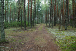 DSC_5234.thumb.jpg.64d58ba3b1ceb372201a697b3dff2ffe.jpg