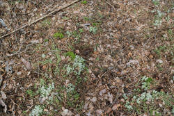 DSC_5318.thumb.jpg.b32052294eff36871153e5bfcfc86138.jpg