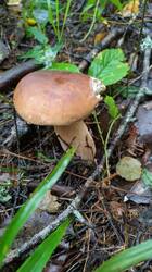 IMG-20250802-WA0000.jpg