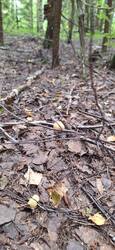 IMG-20250802-WA0003.jpg