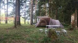 IMG-20250802-WA0004.thumb.jpg.cb68e17ce21136e94e7841b87612d1f4.jpg