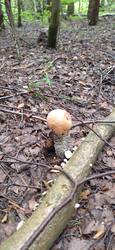 IMG-20250802-WA0004.jpg