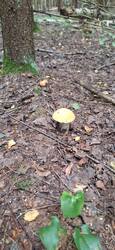 IMG-20250802-WA0007.jpg