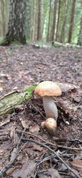 IMG-20250802-WA0008.jpg