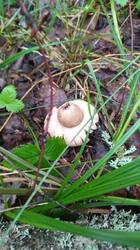 IMG-20250802-WA0017.jpg