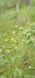 IMG-20250803-WA0016.jpg