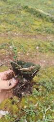 IMG-20250807-WA0009.jpg