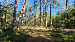 IMG-20250807-WA0016.jpg