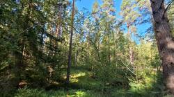 IMG-20250807-WA0018.jpg