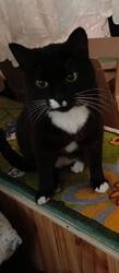 IMG-20250808-WA0010.jpg