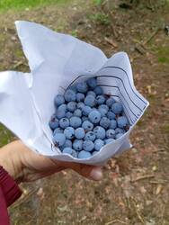 IMG-20250809-WA0008.jpg