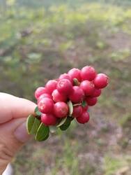IMG-20250809-WA0012.jpg