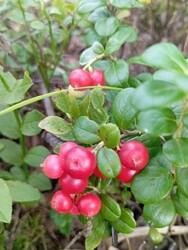 IMG-20250809-WA0013.jpg