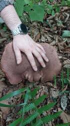 IMG-20250815-WA0001.jpg