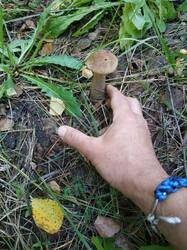 IMG-20250815-WA0006.jpg