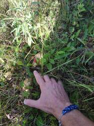 IMG-20250815-WA0012.jpg