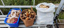 IMG-20250816-WA0014.jpg