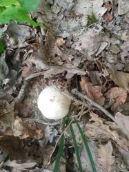 IMG-20250817-WA0028.jpg