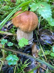 IMG-20250818-WA0006.jpg