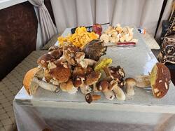 IMG-20250818-WA0014.jpg