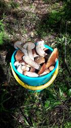 IMG-20250819-WA0011.jpeg
