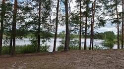 IMG-20250820-WA0005.jpg
