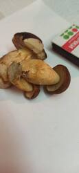 IMG-20250820-WA0013.thumb.jpg.fae3db16762eef2ffd15691b81318667.jpg