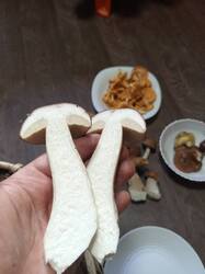 IMG-20250820-WA0018.jpeg