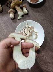 IMG-20250820-WA0021.jpeg