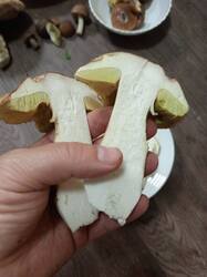 IMG-20250820-WA0023.jpeg
