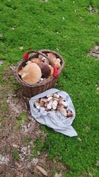 IMG-20250820-WA0026.jpeg