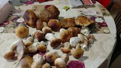 IMG-20250821-WA0016.thumb.jpg.7d22743c96130868943220c36e3bd949.jpg