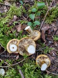 IMG-20250821-WA0022.jpg