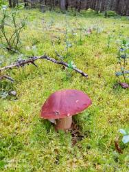 IMG-20250821-WA0026.jpg