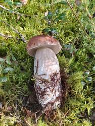 IMG-20250821-WA0045.jpg