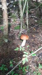 IMG-20250822-WA0000.jpeg